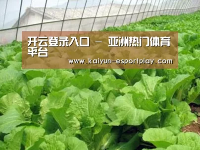种植基地一
